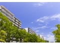 隣の木の枝がマンション内に伸びて邪魔！切ったら罪？