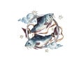 2025年6月16日～6月22日の運勢「うお座（魚座）」 章月綾乃の【大人のための星占い】