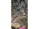 Rubyの特異クラス・特異メソッドについて