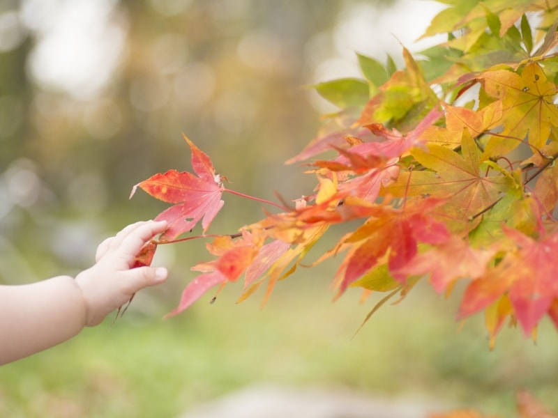 産後も過ごしやすい11月生まれ